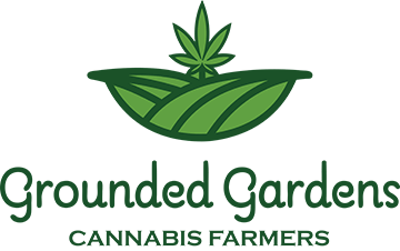 grounded-Gardens-Cannabis-Farmers